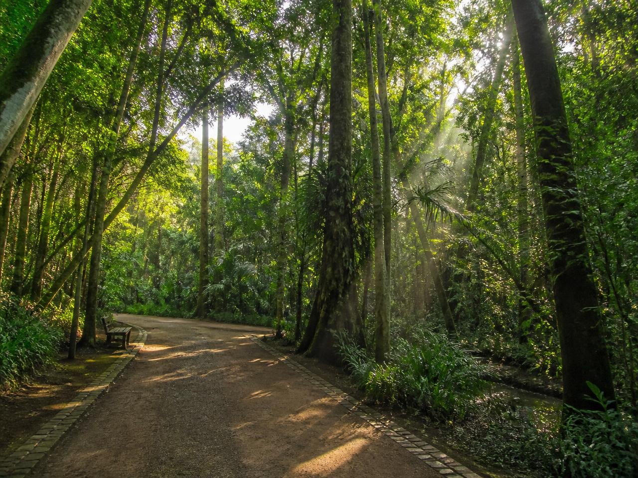 Mata do Buraquinho e parques